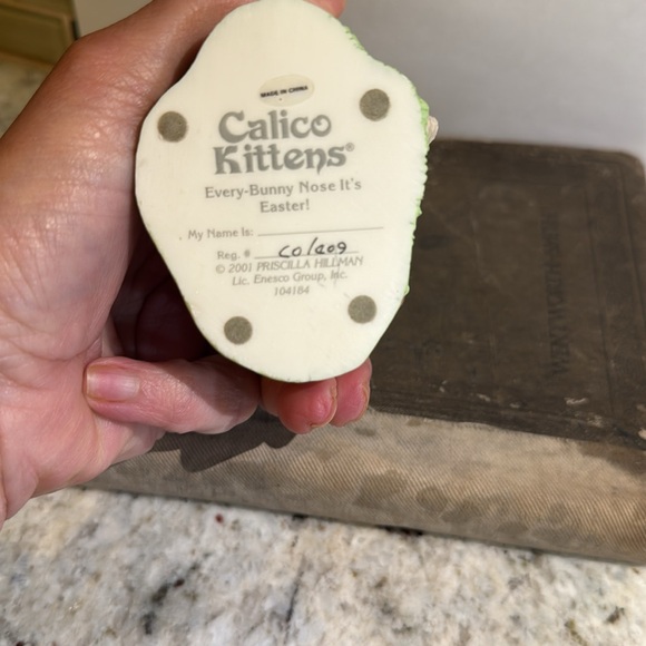 Calico Kittens 

Every-Bunny Nose It’s Easter - Picture 4 of 4